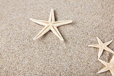 《符文工厂：龙之国》2025年春季登陆Switch和PC